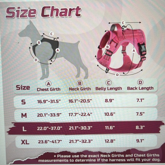 NWT Rabbitgoo dog harness blue.size small, adjustable and reflective - Picture 13 of 13